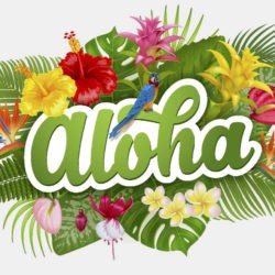 Aloha und Ho'oponopono, das hawaiianische Vergebungsritual
